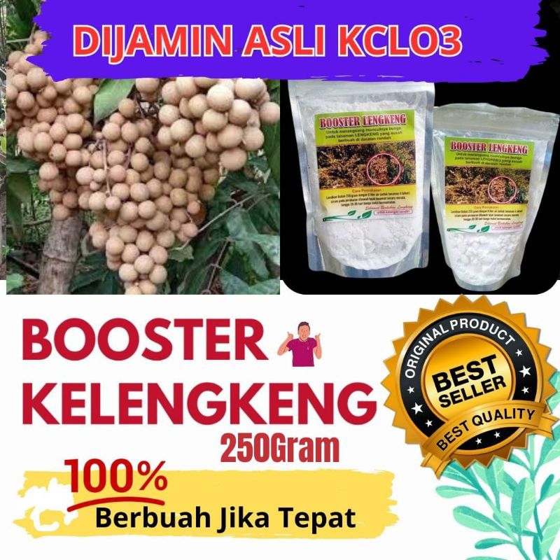 Booster kelengkeng, Booster kelengkeng asli