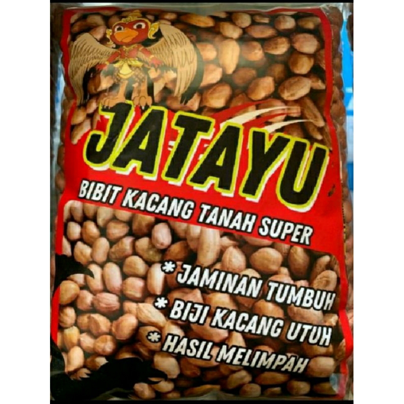 

PROMO 1 KG KACANG SUPER GAJAH BERKUALITAS