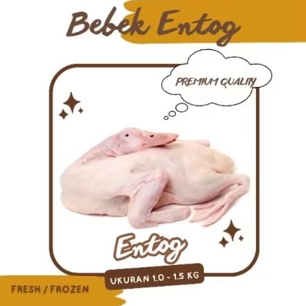 DAGING BEBEK ENTOG 1.0 - 1.5 KG PAKAI KEPALA