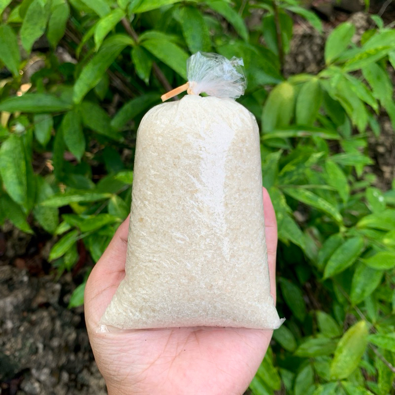

Gula Pasir Murah