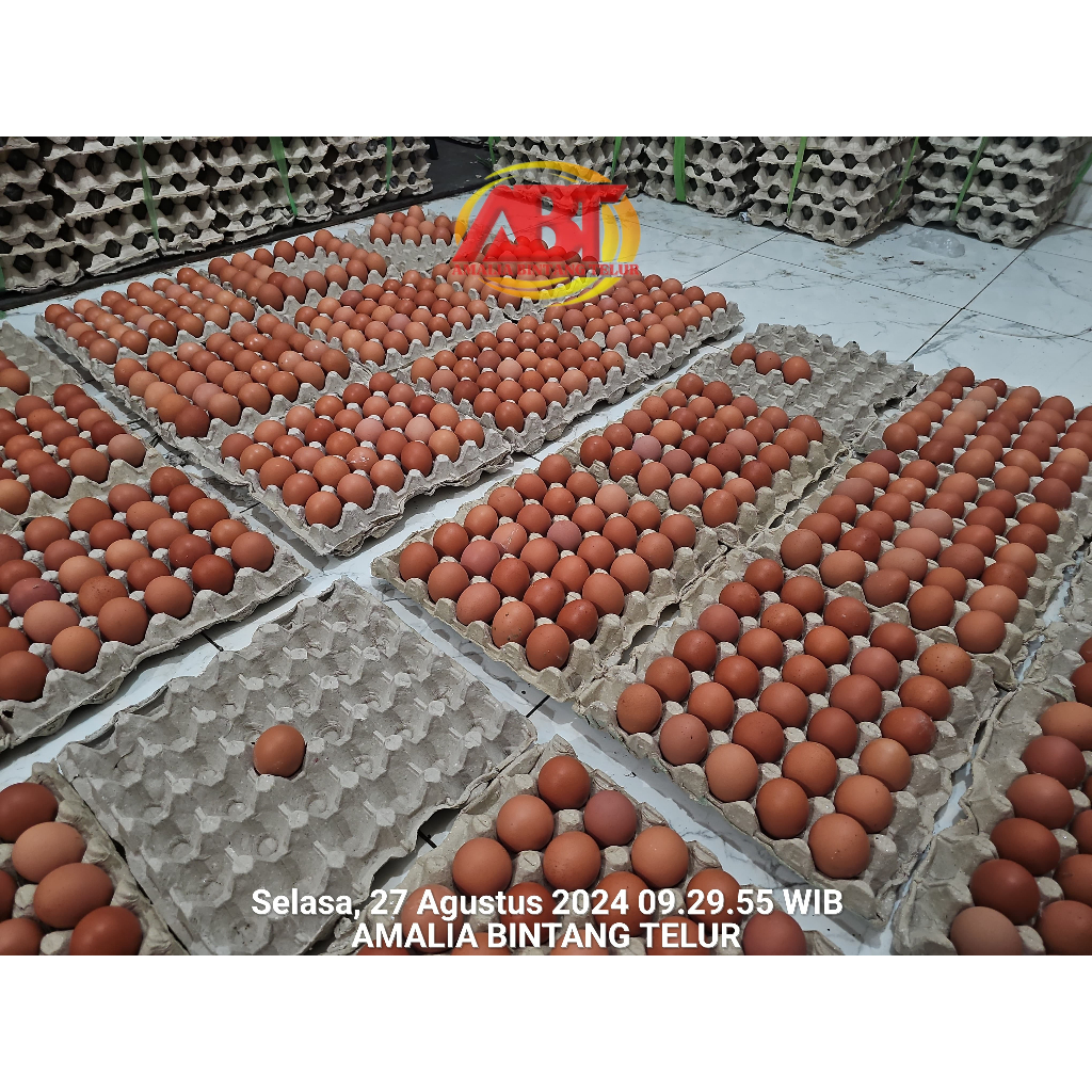 

HA Telur Ayam Negeri 1kg Berkualitas & Segar