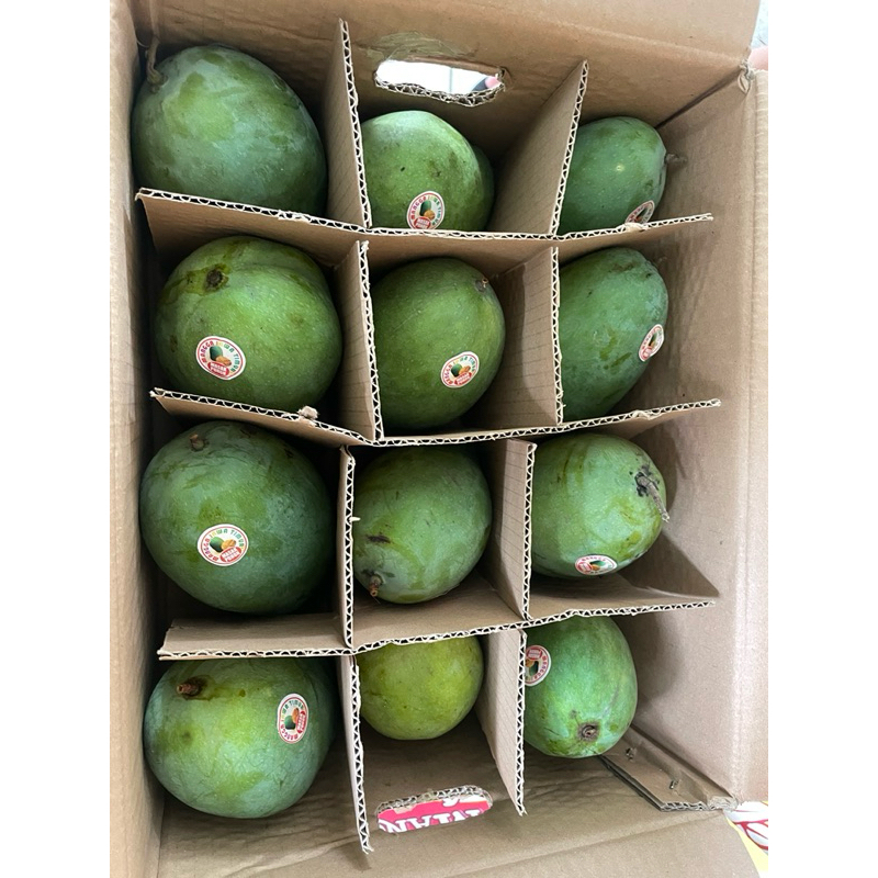 

[5KG] Mangga Alpukat 1 Kardus Manis Termurah Original