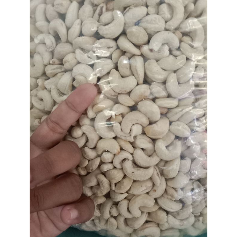 

kacang mete utuh mentah