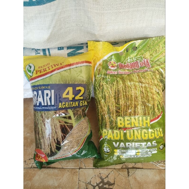 Padi Premium INPARI 42 dan 32 PERTIWI 5KG