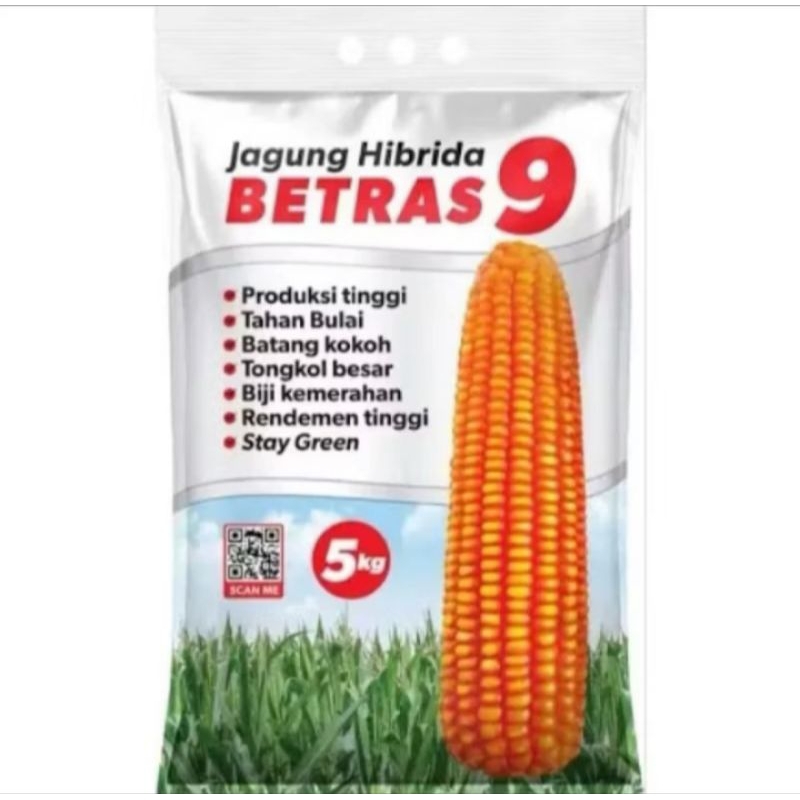 BENIH JAGUNG BETRAS 9 ORIGINAL