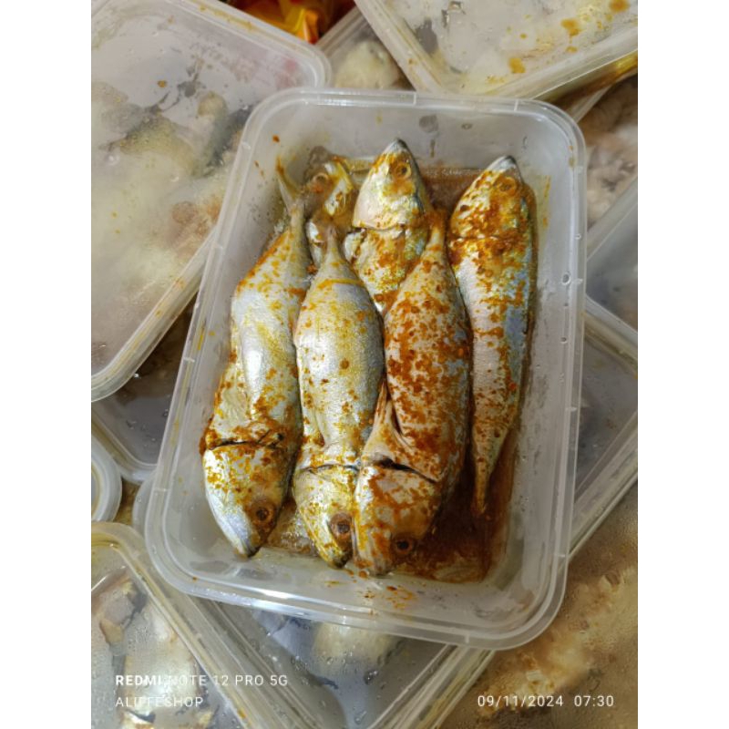 

1 box ikan kembung marinasi siap goreng isi 5-6 ekor