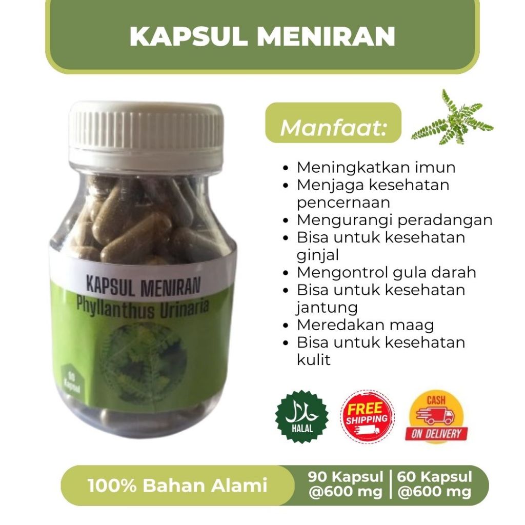 

KAPSUL MENIRAN @600 mg(batu ginjal, tukak lambung,anti radang)Meniran murni 100%