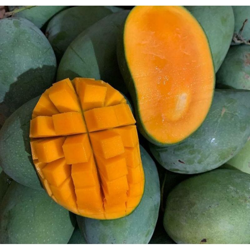 

Mangga Manis Gadung Harum 1kg