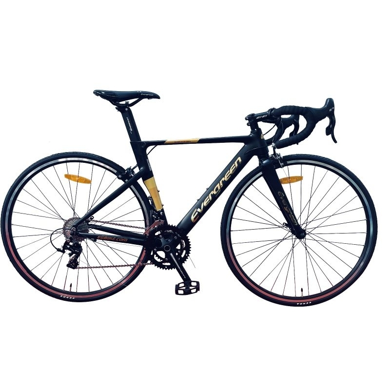 Sepeda Balap Road Bike Evergreen Rapier 210RF 700C