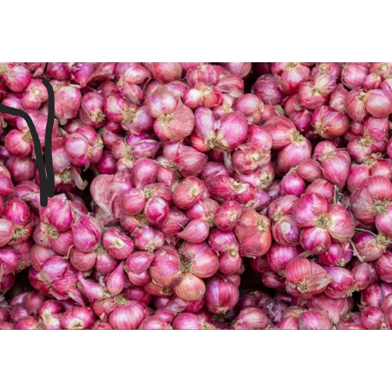 

BAWANG MERAH ORIGINAL 1KG