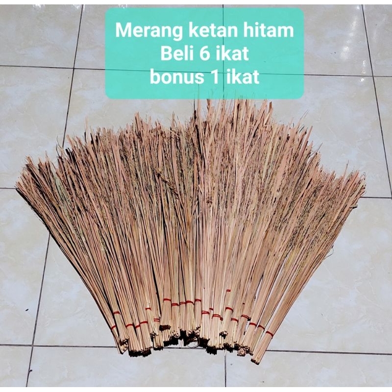 Merang padi ketan hitam ASLI isi 25 batang
