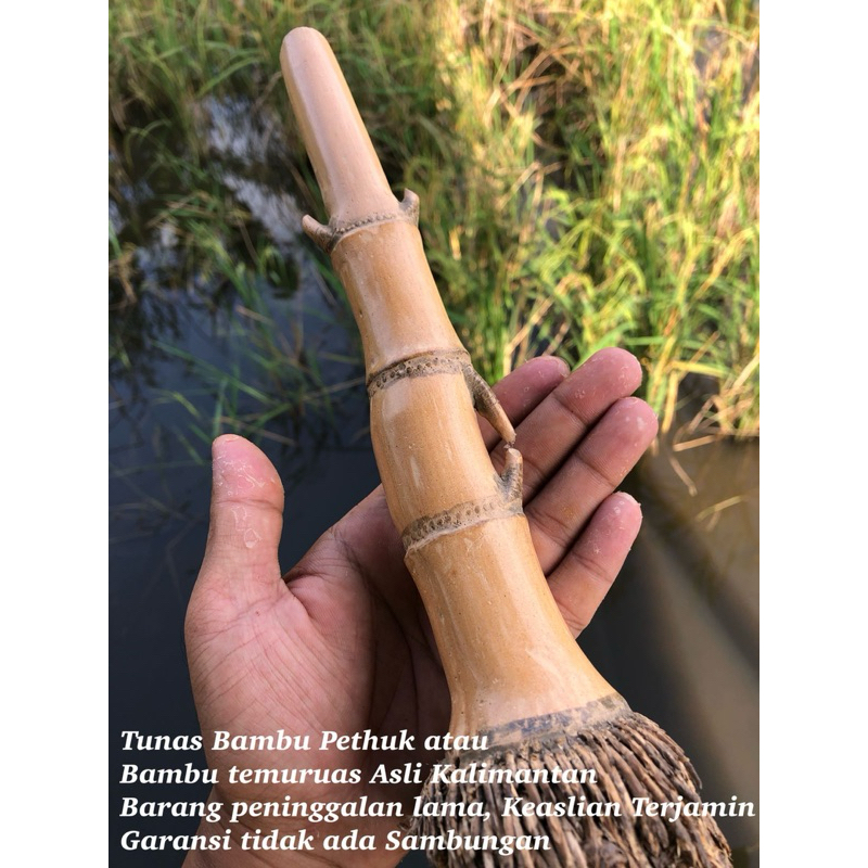 Bambu Temu Ruas Langka dan Antik