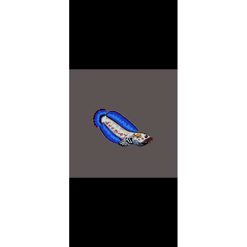 sticker Channa andrao 10-11cm