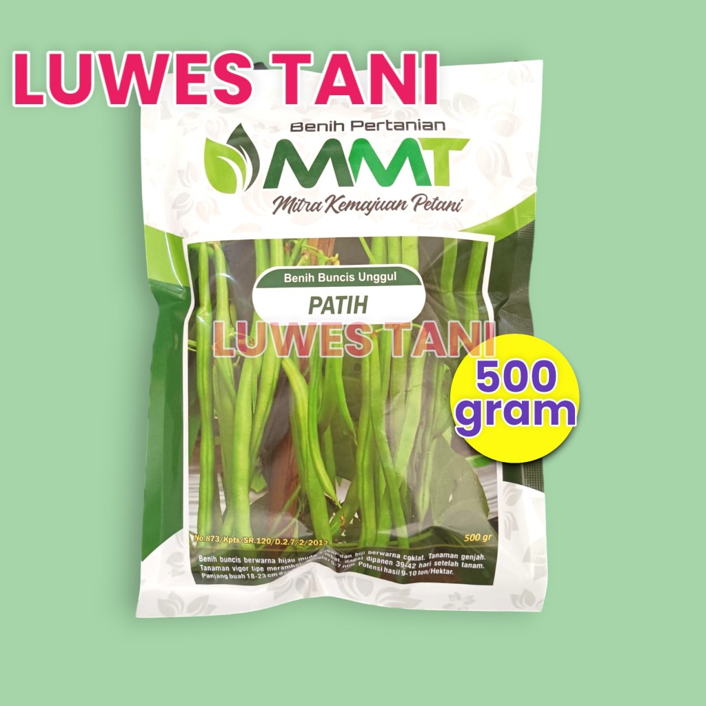 Benih Buncis Patih Unggul mmt kemasan 500 Gram