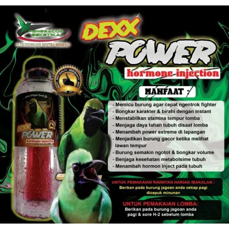 DEXX POWER CUCAK IJO PENGGACOR SEKETIKA