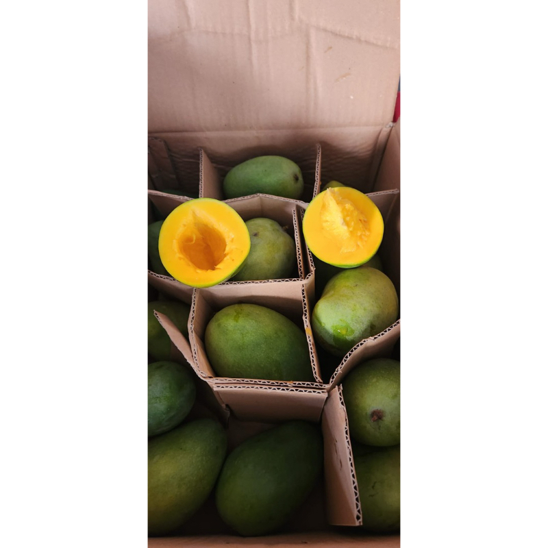 

Mangga Alpukat Super 5kg /dus