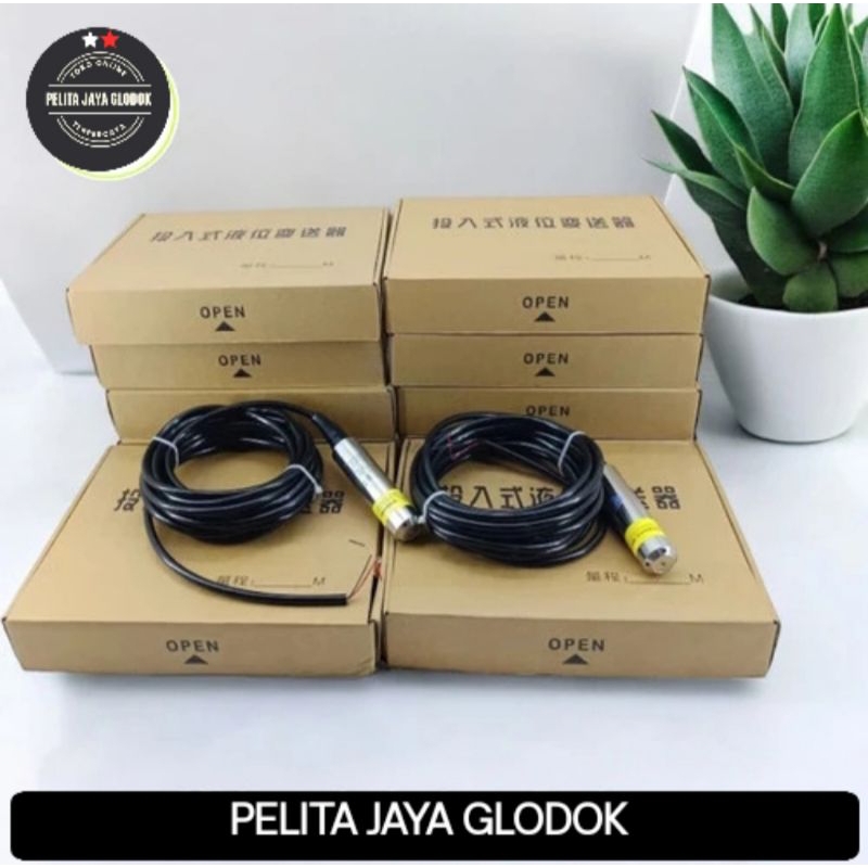 Submersible Water Level Transducer Level Transmitter Sensor 6m Cable