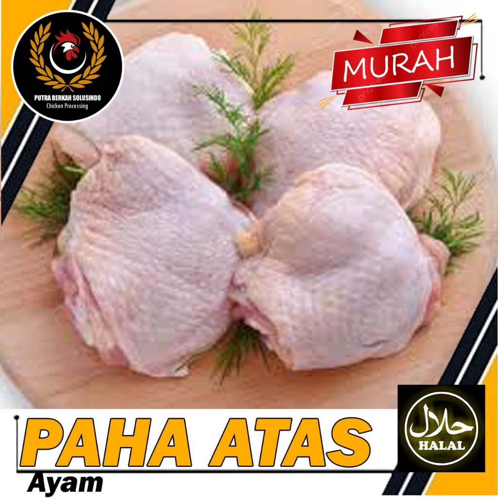 

RB Paha Atas Ayam Fresh Murah