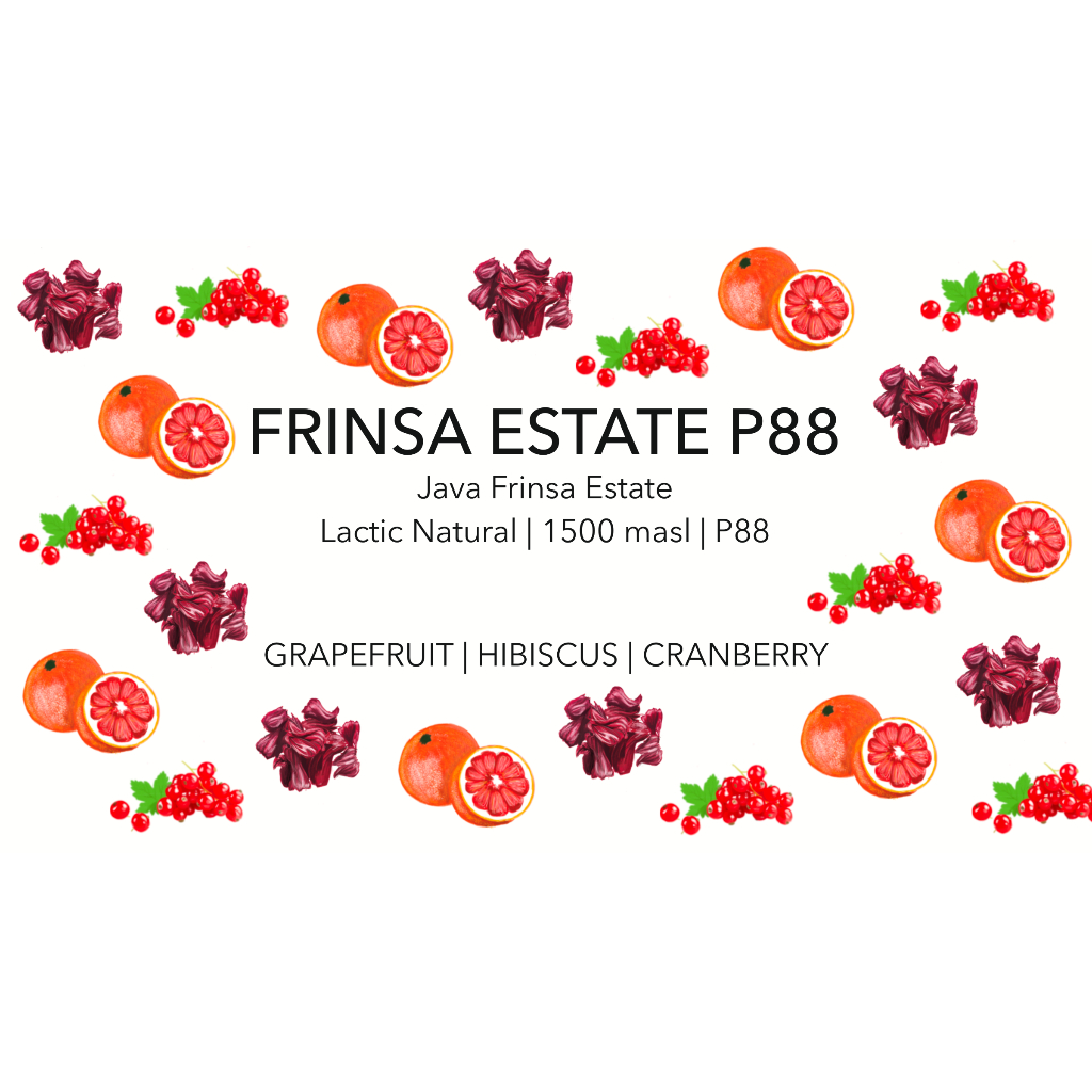 

Java Frinsa Estate P88 - Lactic Natural - Hana Roastery - Specialty Coffee