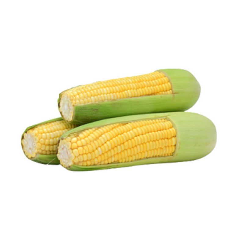 

Jagung Manis (Bliggomarket)