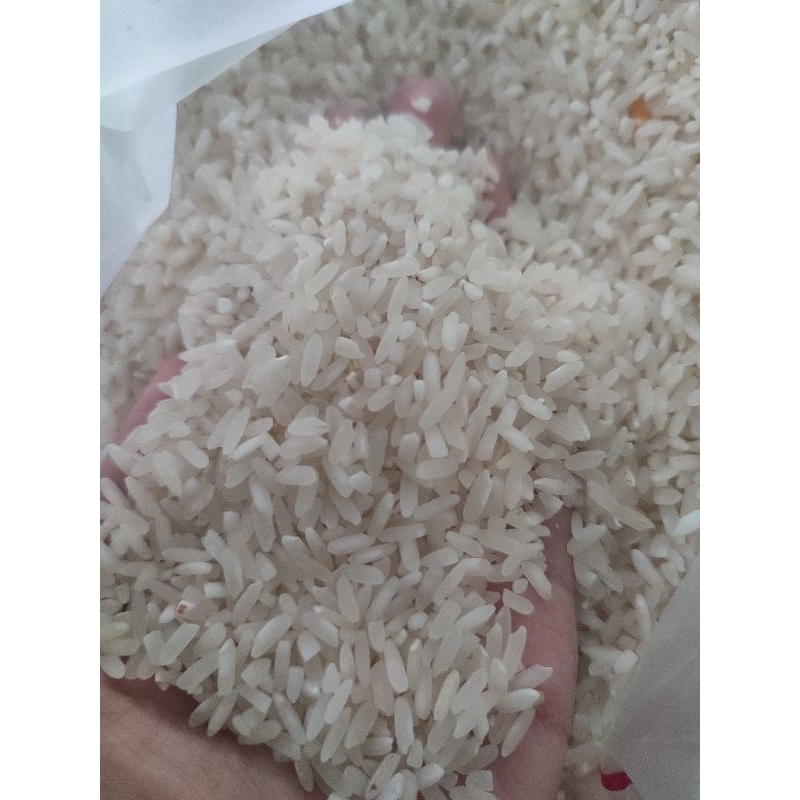 

beras premium 1 kg 13000