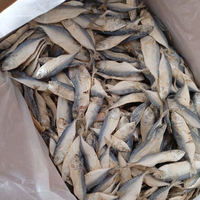 

ikan asin kembung kecil / ikan asin lemaren
