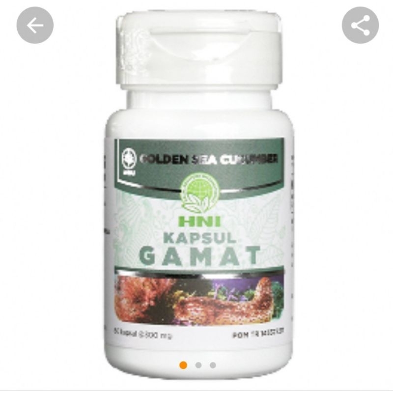 HNI Gamat Kapsul
