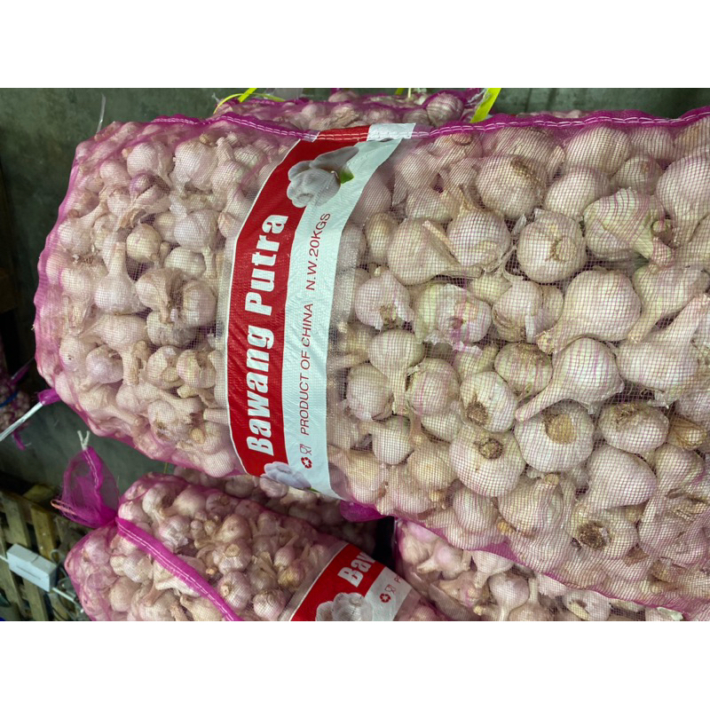 

BAWANG PUTIH TERMURAH !