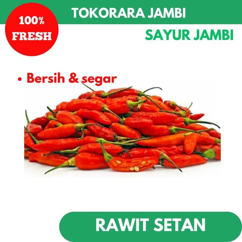 

Cabe Rawit Setan/Rawit merah-Tokorara.Jambi