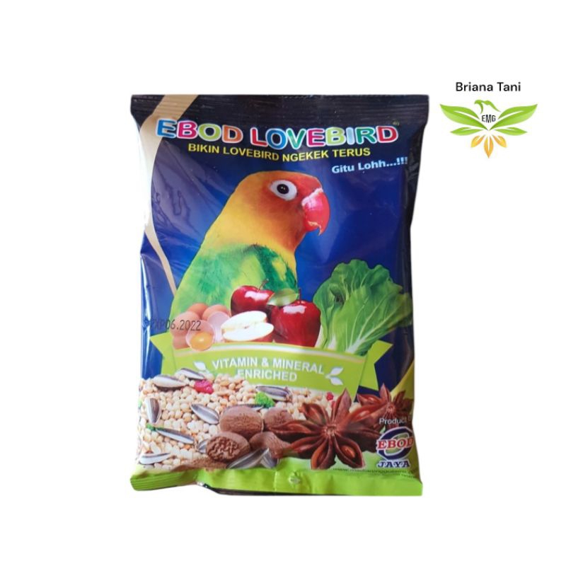 ￼EBOD LOVEBIRD MAKANAN LOVE BIRD BIKIN NGENGEK TERUS