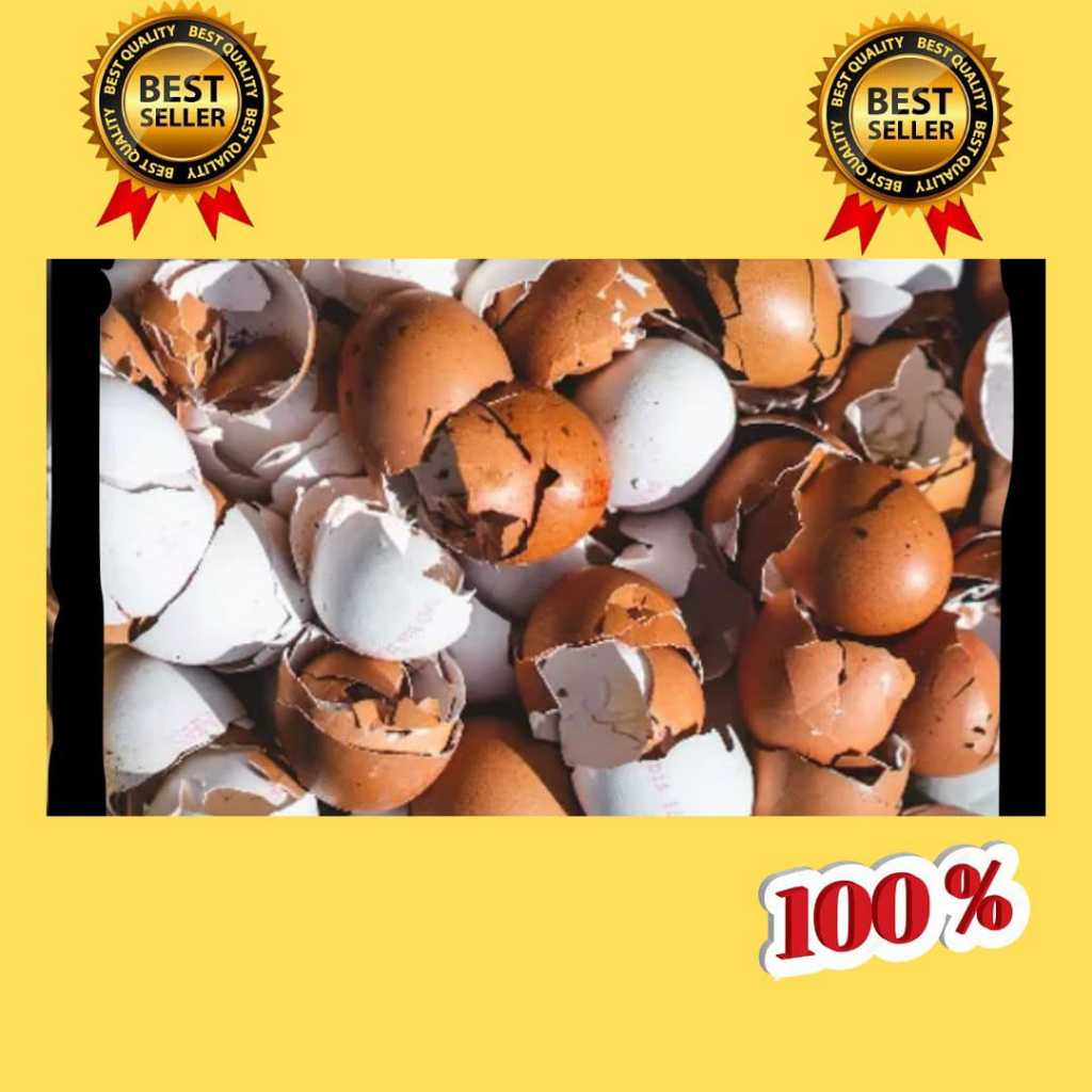 PALING DICARI.. Cangkang Telur Ayam Halus