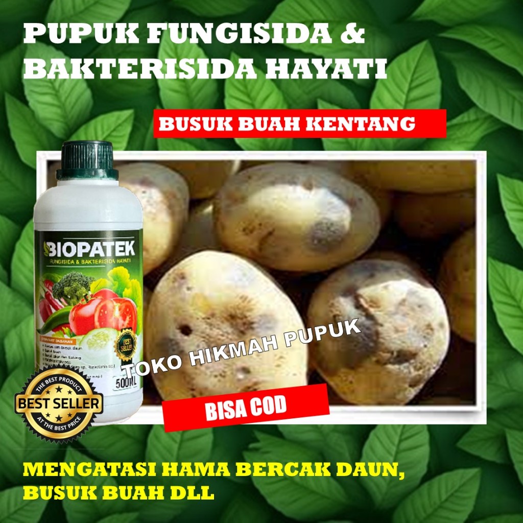 (REKOMENDED) BIOPATEK FUNGISIDA HAYATI Obat Busuk Buah Pada Kentang - Obat Layu Pada Tanaman Kentang