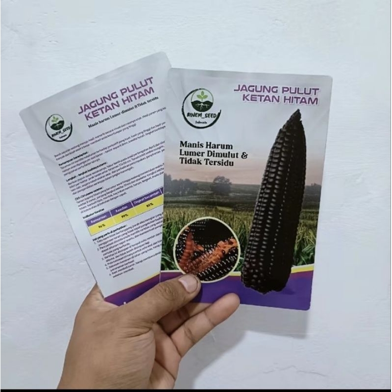 BENIH JAGUNG PULUT KETAN HITAM