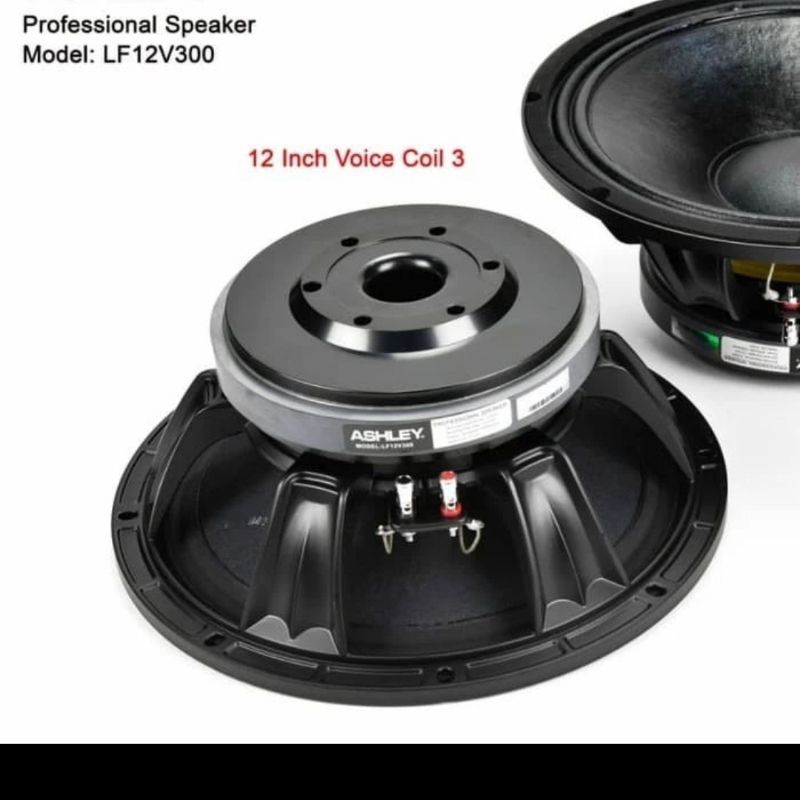 speaker 12 inch ASHLEY LF12V300 voice coil 3 inch