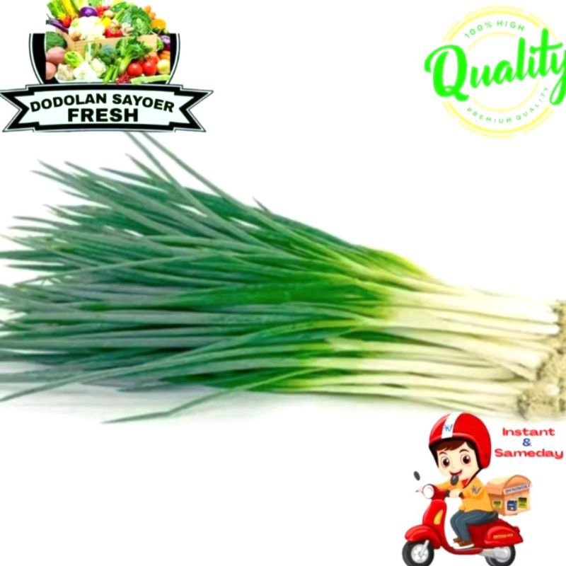 

Daun bawang/bawang daun Fresh pilihan