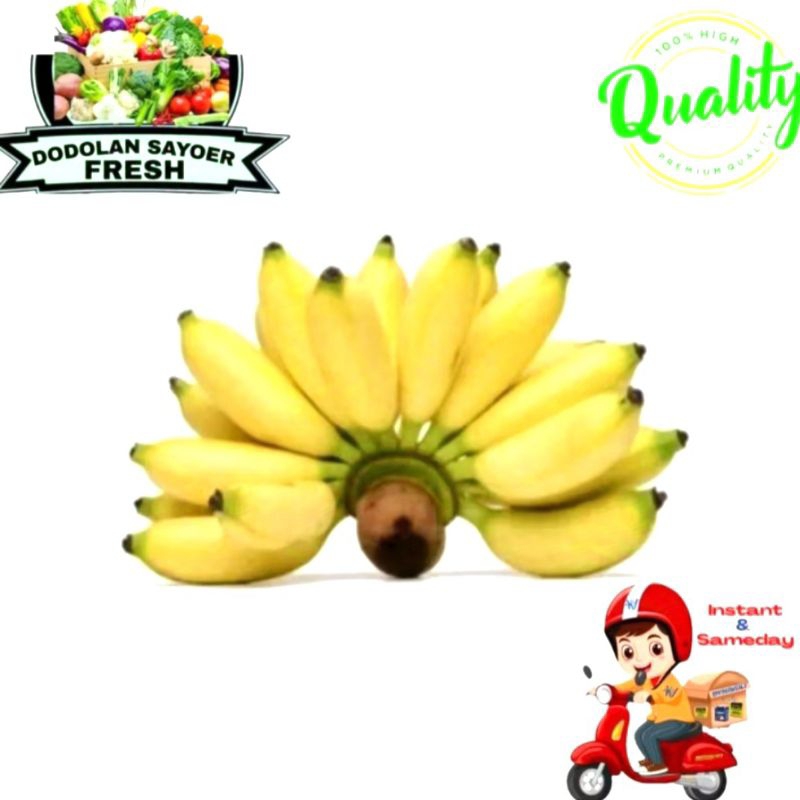 

Pisang lilin/pisang lampung Fresh pilihan