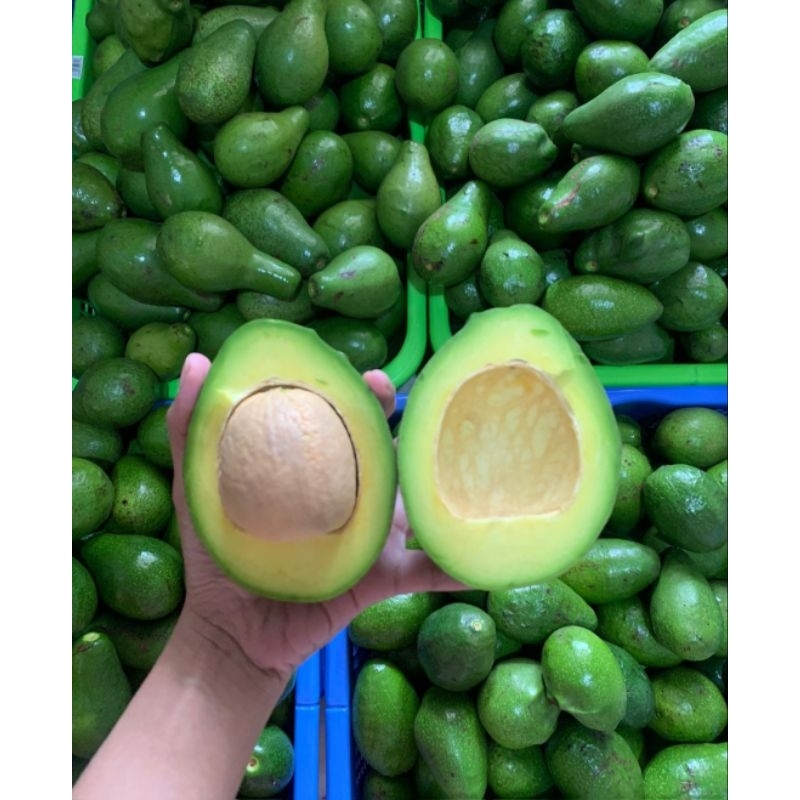 

Alpukat mentega 35k/kg ukuran 3-4pcs
