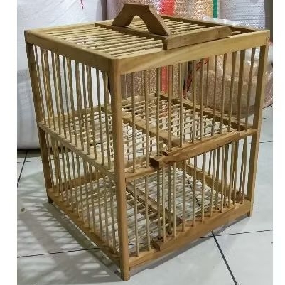 dong dang 2 merpati kandang merpati burung dara pintu 2