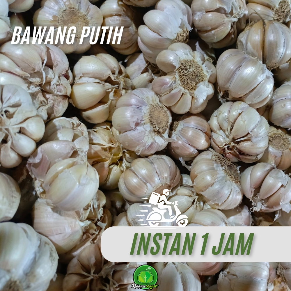 

Bawang Putih aldana sayur garut 250gr-1kg
