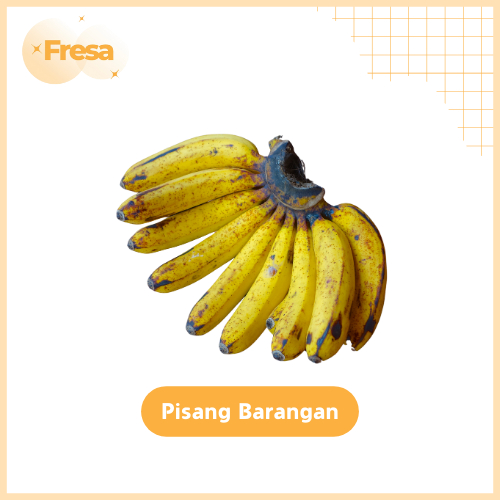 

Pisang Barangan 1 Sisir Fresh & Sehat | Fresa Mart