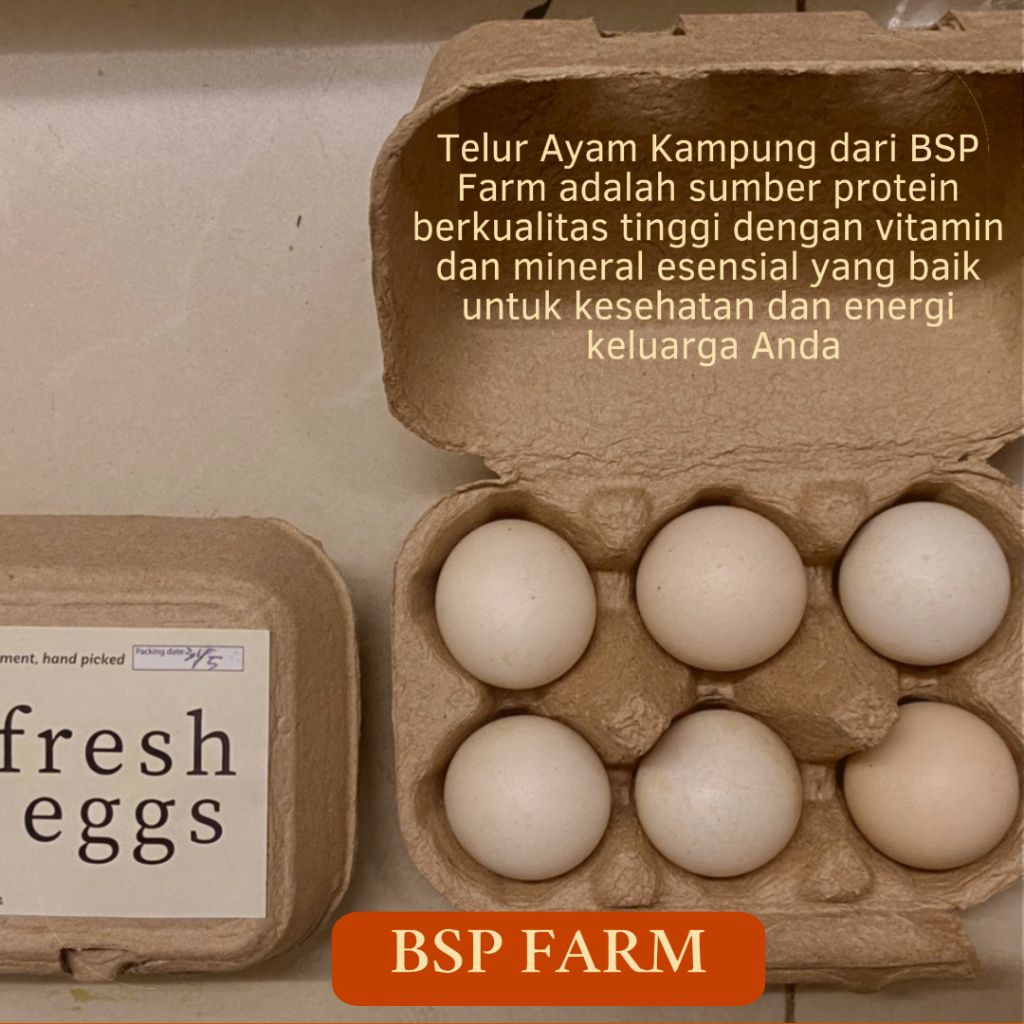 

TELOR AYAM KAMPUNG CAGE FREE BSP FARM 10PCS