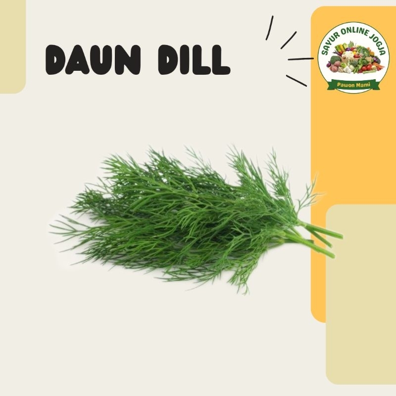 

Daun dill 100gr - PAWON MAMI SAYUR ONLINE JOGJA