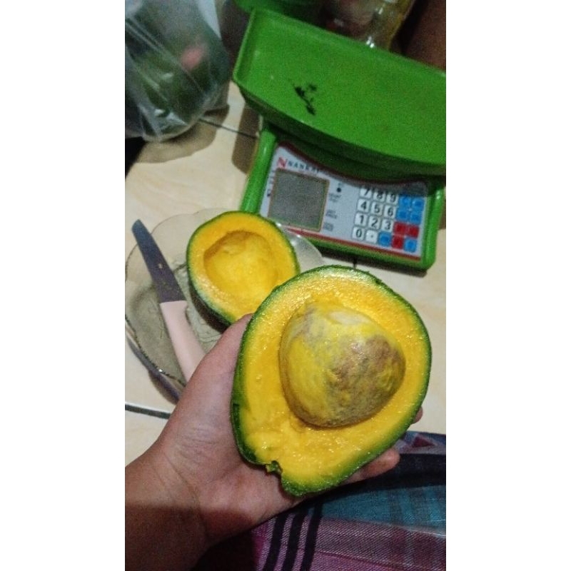 

alpukat mentega lezaatt