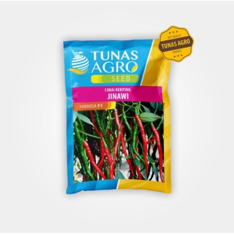 CABAI KERITING JINAWI || TUNAS AGRO