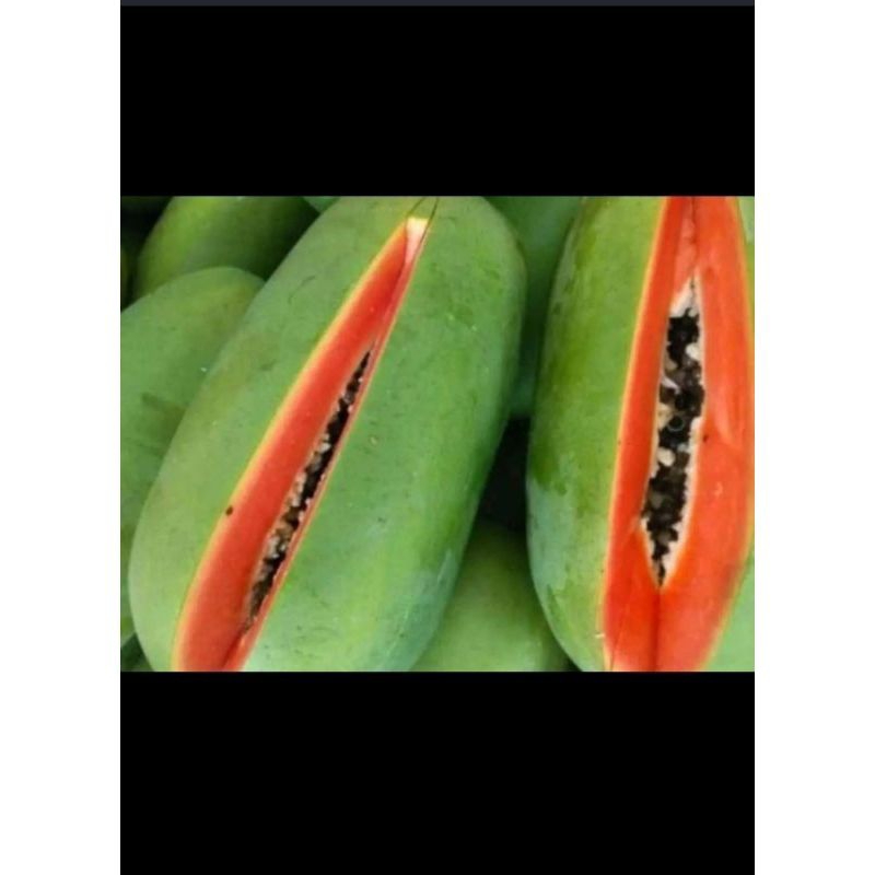 

PEPAYA CALIFORNIA PREMIUM PERBUTIR