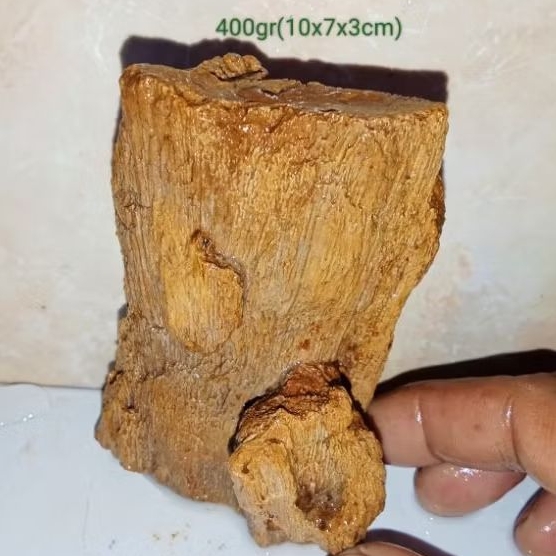 batu akik bahan fosil aren (829)