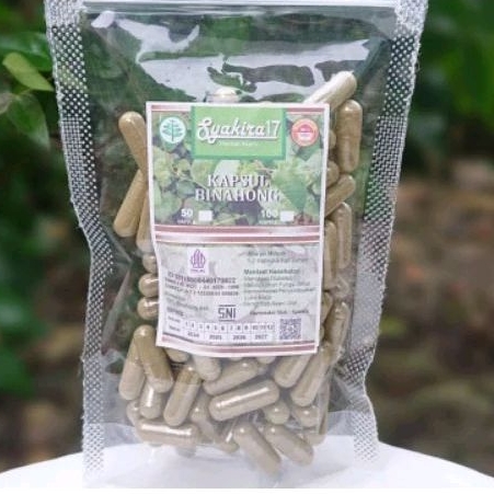 

KAPSUL HERBAL ASLI DAUN BINAHONG KEMASAN POUCH ISI 100