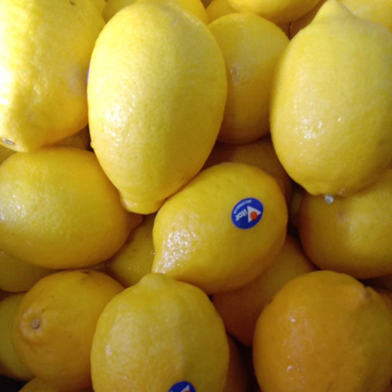 

LEMON AUSTRALI EMPUK BANYAK AIR/KG