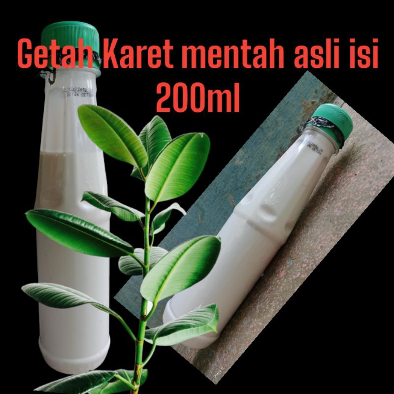 getah karet mentah cair kemasan 200mil