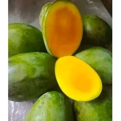 

Mangga kweni fresh 1kg